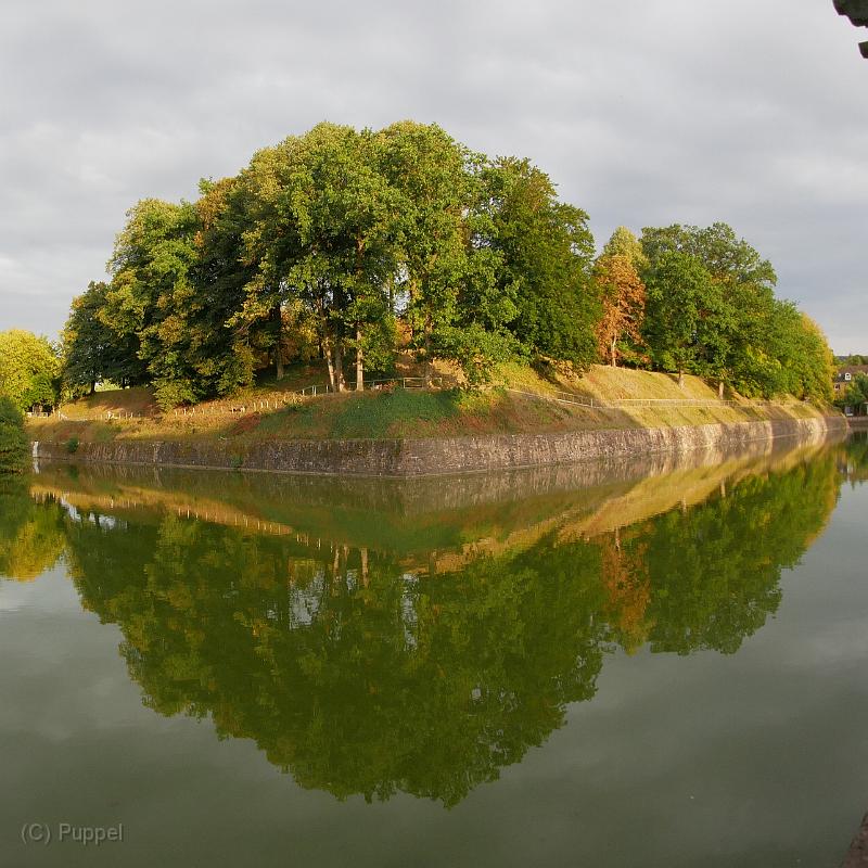A T-20190901-190359_P3730930-gx1.jpg